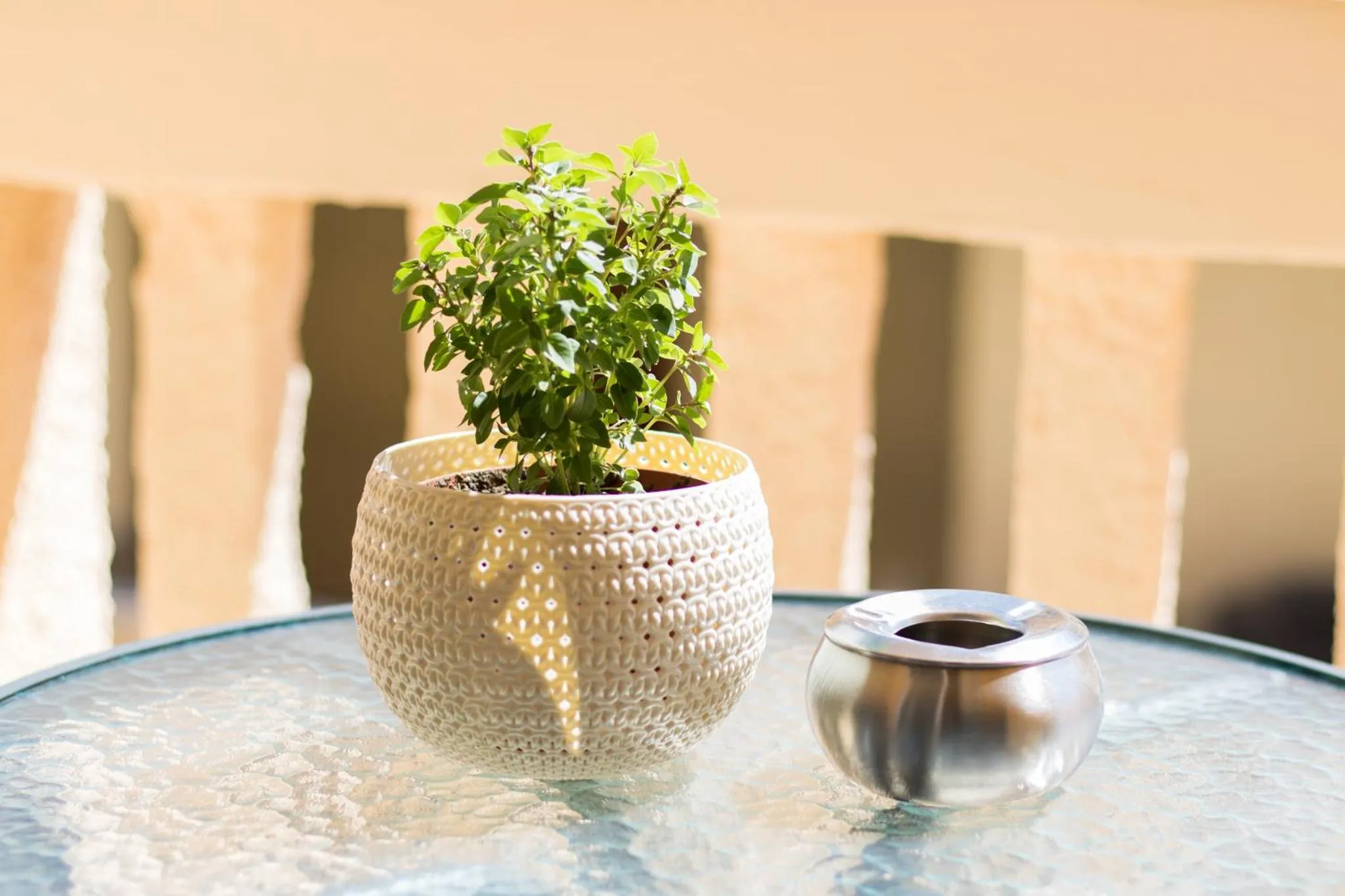 Une plante en pot orne une table en verre sur une terrasse.