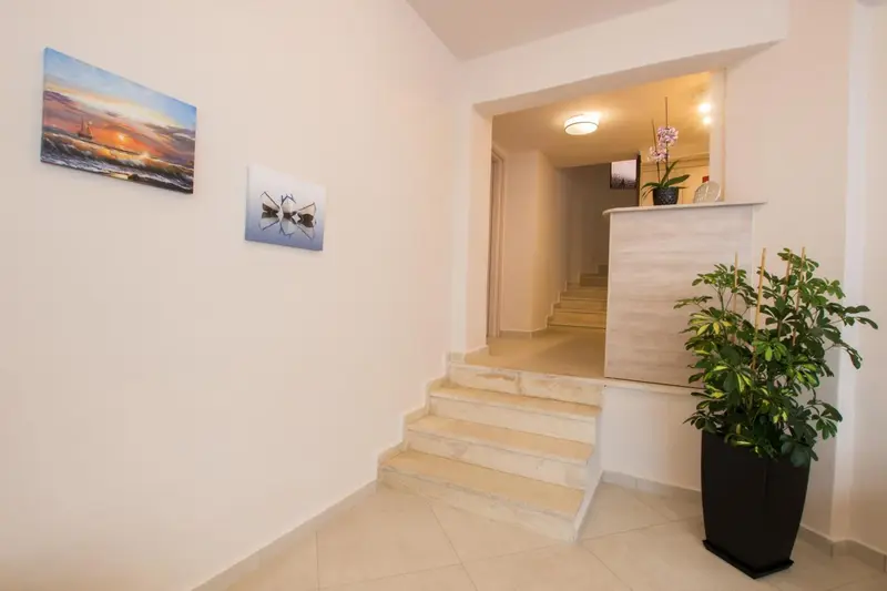 Un hall d'entrée lumineux avec un escalier et une plante en pot.