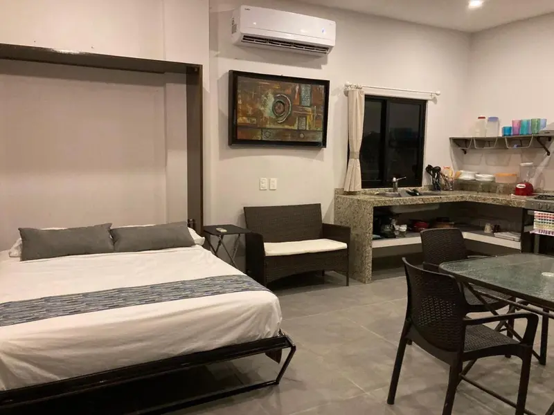 Une chambre lumineuse avec un lit, un coin repas et une kitchenette.