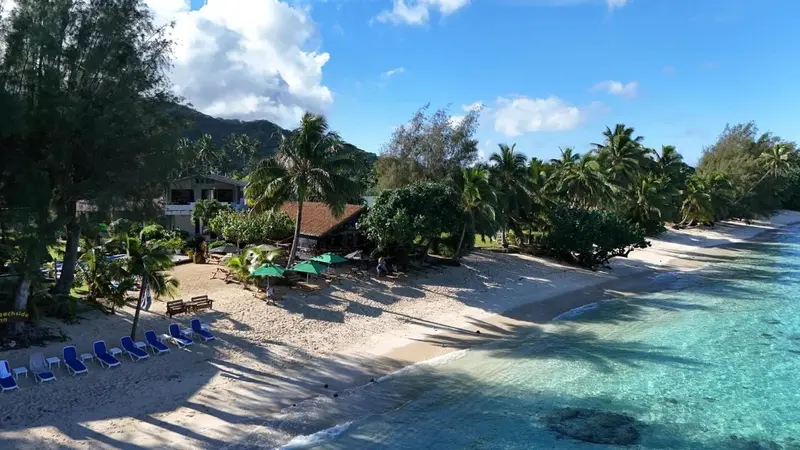 Plage de sable blanc bordée de palmiers et de parasols.