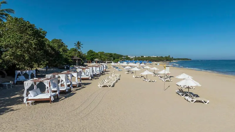 Transats blancs alignés sur une plage de sable fin bordée de palmiers.