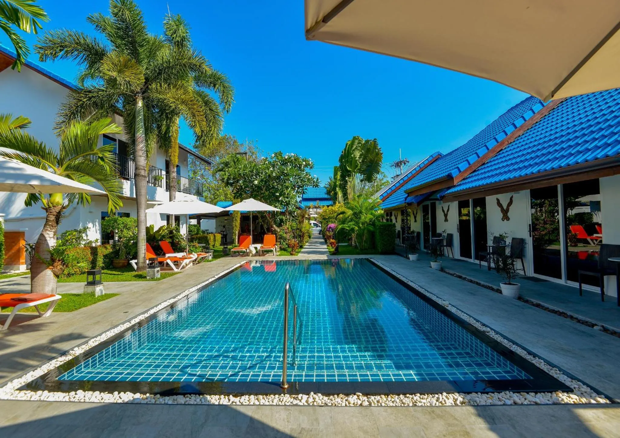 Une piscine rectangulaire turquoise est entourée de transats et de végétation tropicale.
