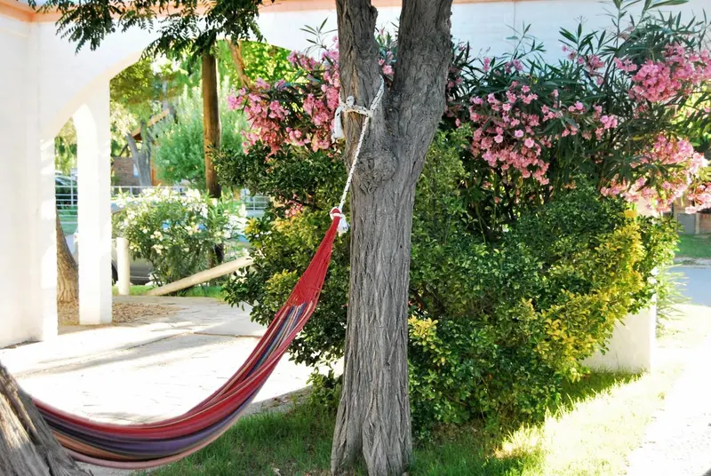 Un hamac rouge est suspendu entre un arbre et un mur blanc.
