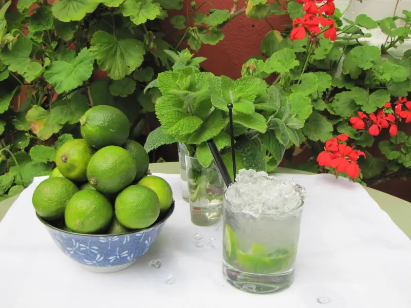 Nature morte avec des citrons verts, des verres et de la glace.