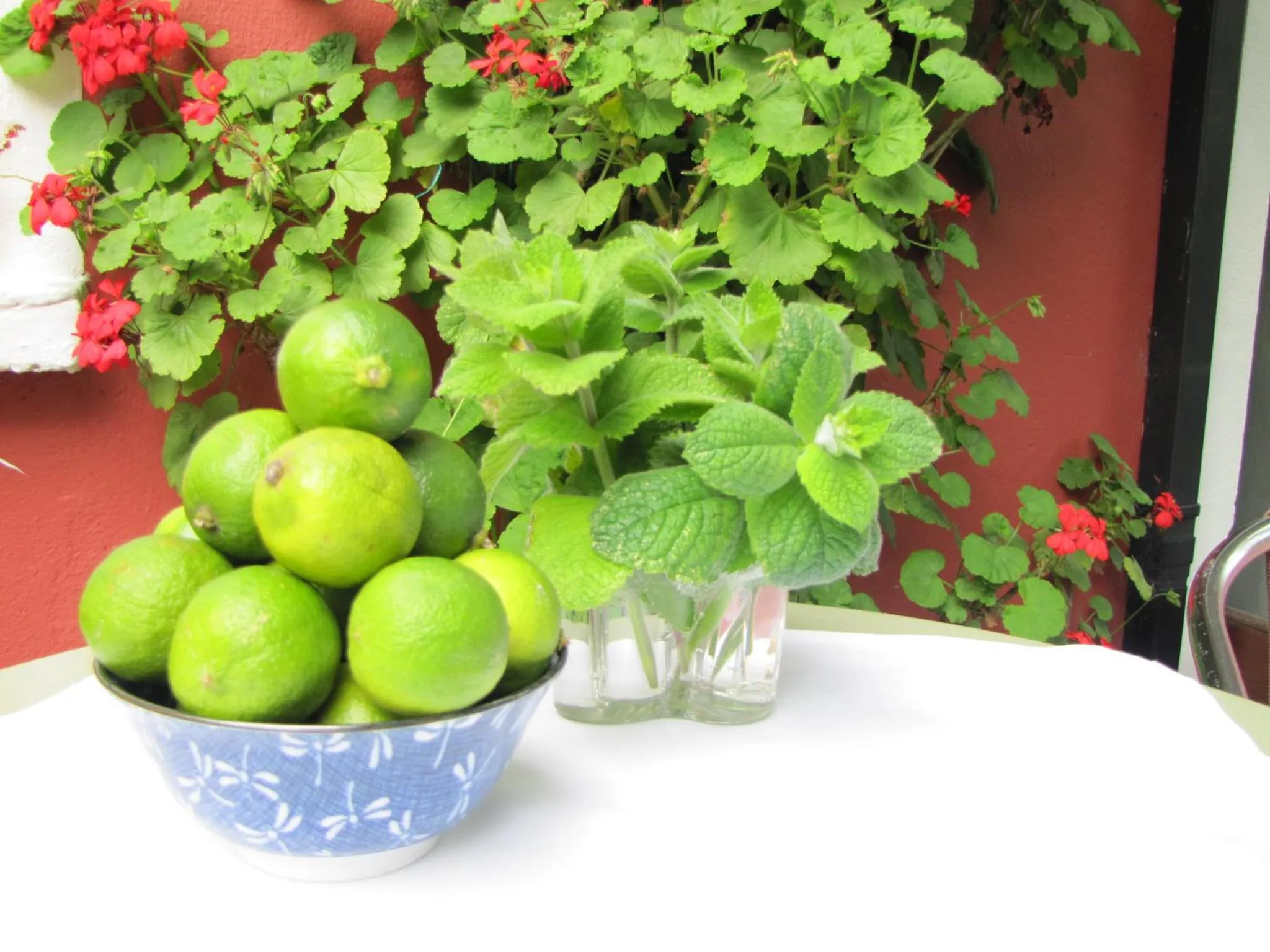 Des citrons verts et des feuilles de menthe sont disposés sur une table recouverte d'une nappe blanche.