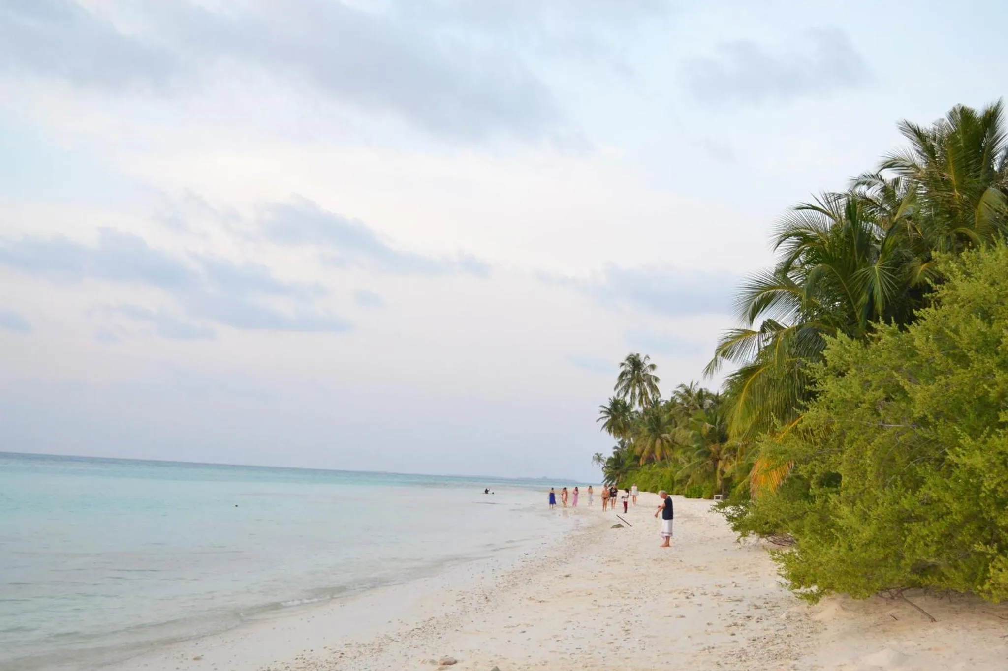 Plage de sable blanc bordée de végétation tropicale et d'une mer turquoise.