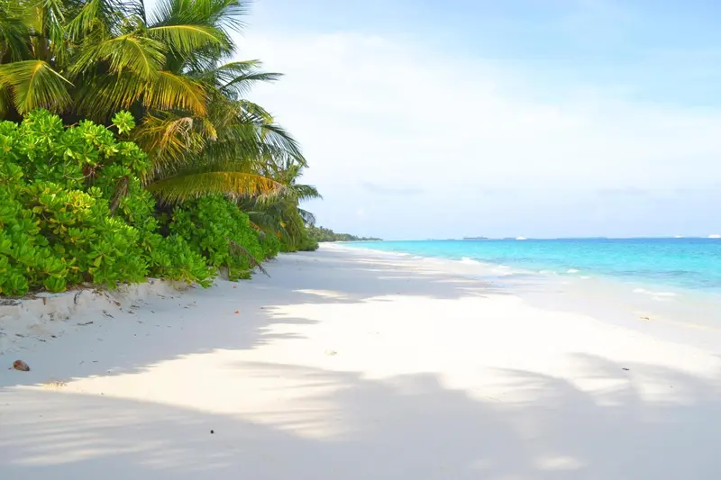 Plage de sable blanc bordée de végétation luxuriante sous un ciel bleu.