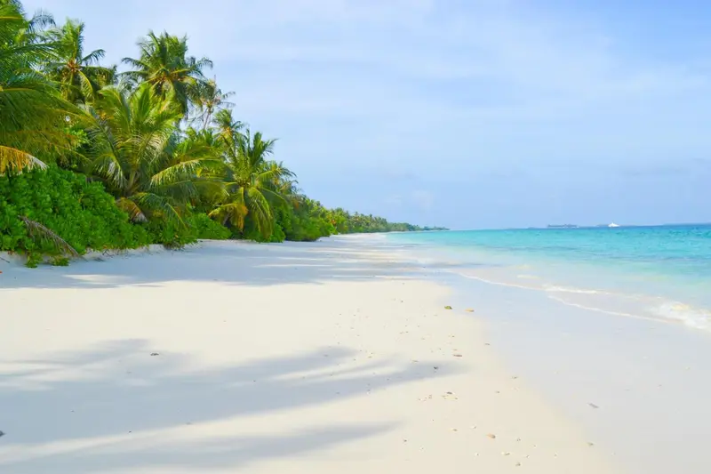 Plage de sable blanc bordée de végétation luxuriante et d'une mer turquoise.