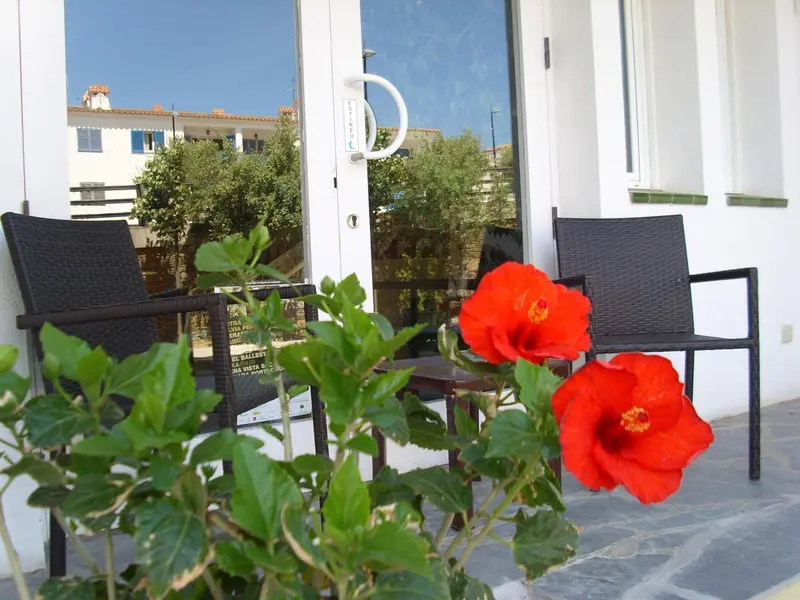 Deux chaises en osier sur une terrasse fleurie.