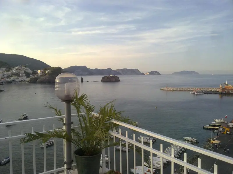 Vue d'une baie avec des bateaux amarrés et une végétation au premier plan.