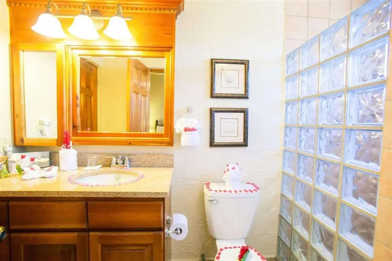 Une salle de bain lumineuse avec un lavabo, un miroir et une douche en briques de verre.