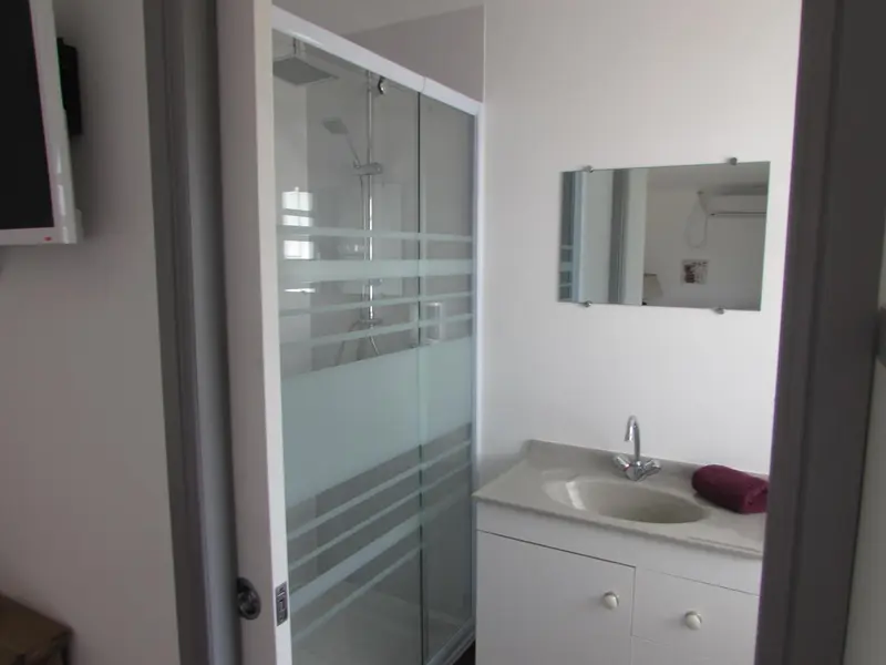 Une salle de bain avec douche vitrée et lavabo.