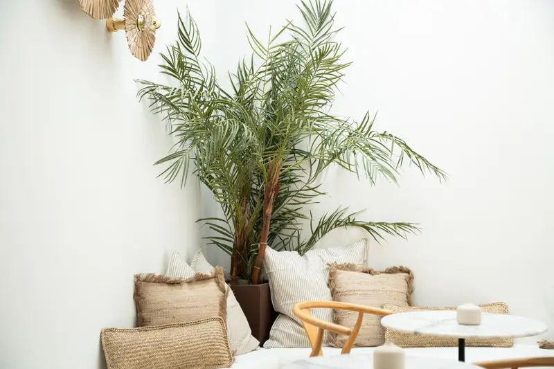 Un coin salon avec des coussins texturés et une plante tropicale.