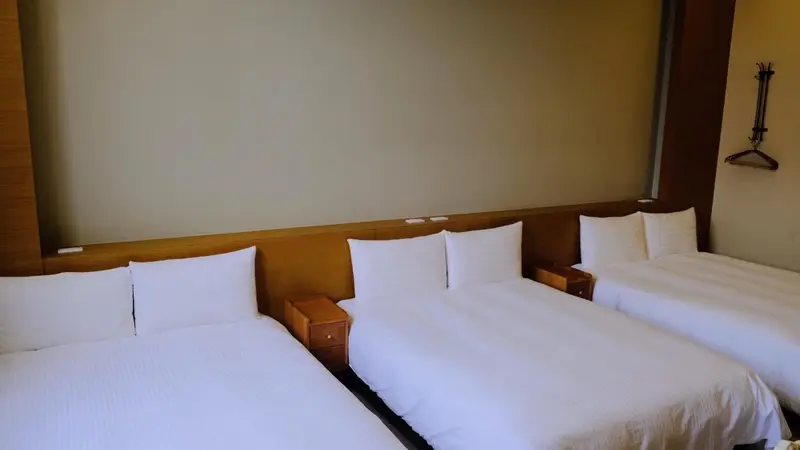 Deux lits jumeaux préparés dans une chambre lumineuse.
