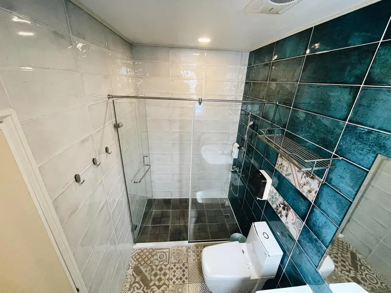 Une salle de bain moderne avec douche à l'italienne et carrelage décoratif.