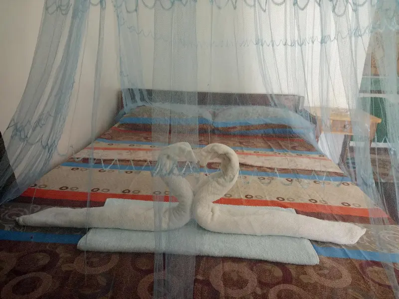 Un lit recouvert d'une moustiquaire et décoré de serviettes en forme de cygne.