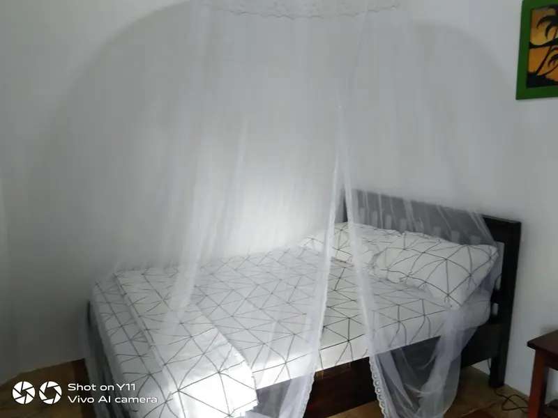 Un lit recouvert d'une moustiquaire dans une chambre.
