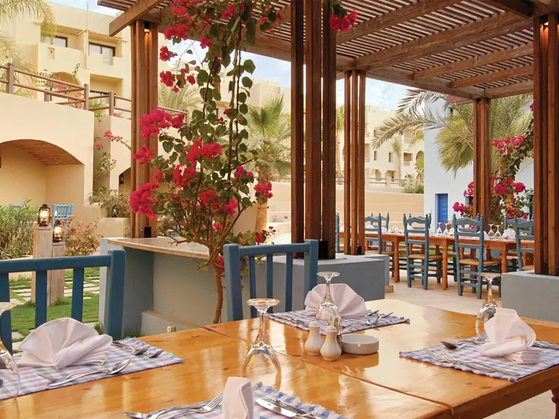 Tables dressées sur une terrasse ombragée avec une végétation luxuriante.