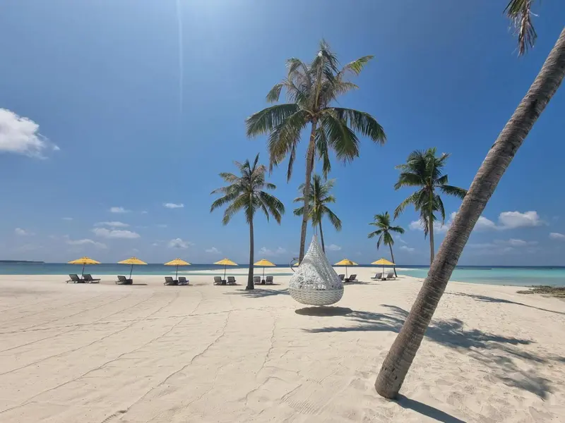 Plage de sable blanc bordée de palmiers et de transats sous des parasols jaunes.