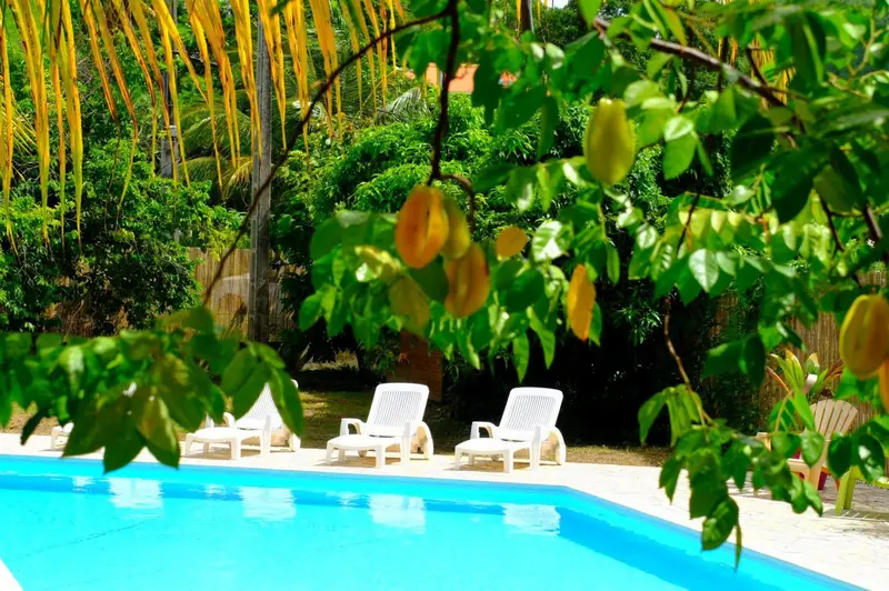Transats blancs alignés au bord d'une piscine turquoise, entourée de végétation luxuriante.