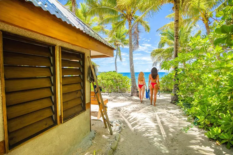 Deux femmes se promènent sur un sentier sablonneux bordé de végétation tropicale.