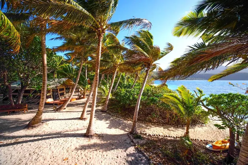 Palmiers se balancent au-dessus d'une plage de sable clair.
