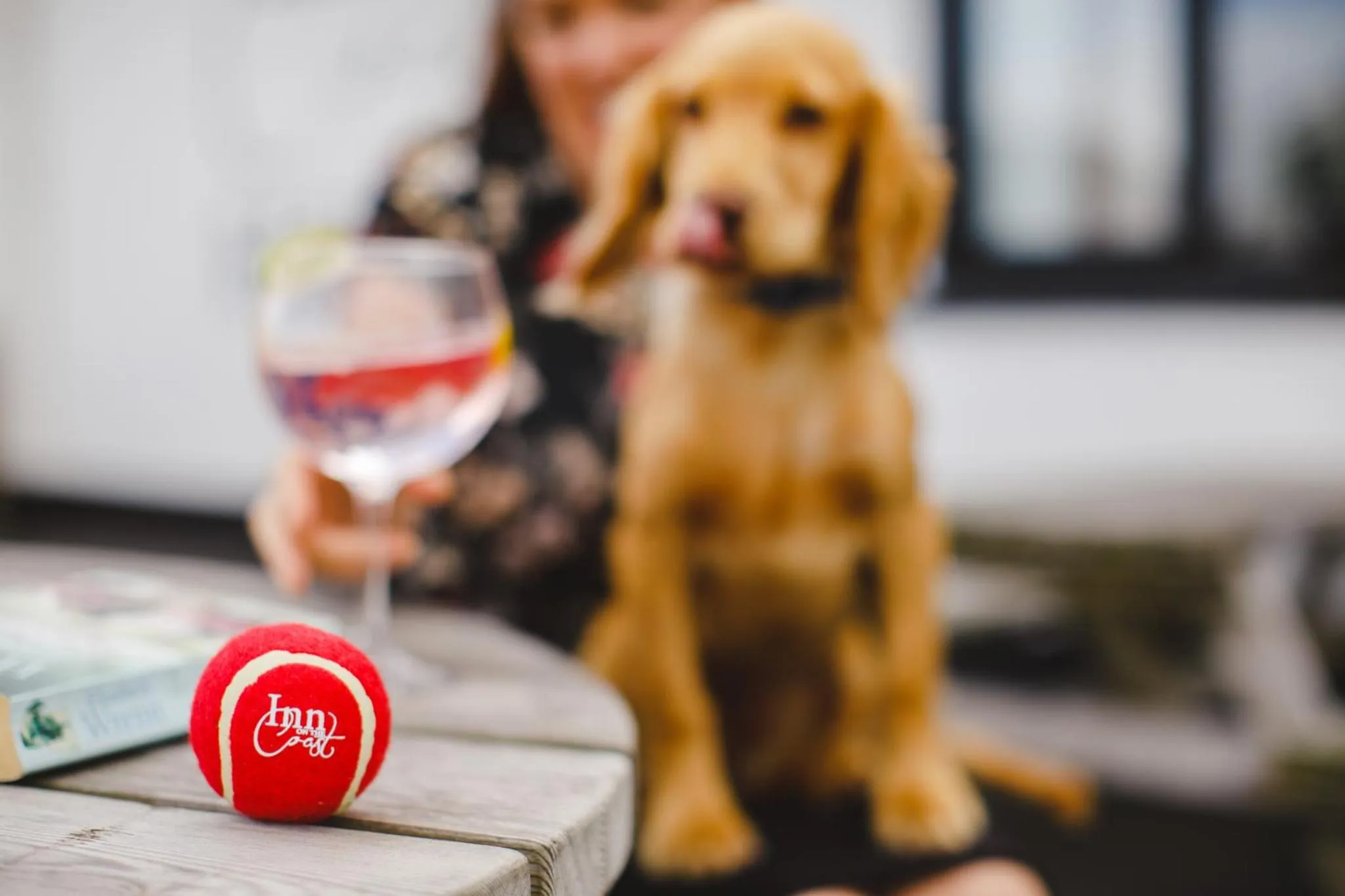 Un chien roux et une boisson rafraîchissante sur une table en bois.