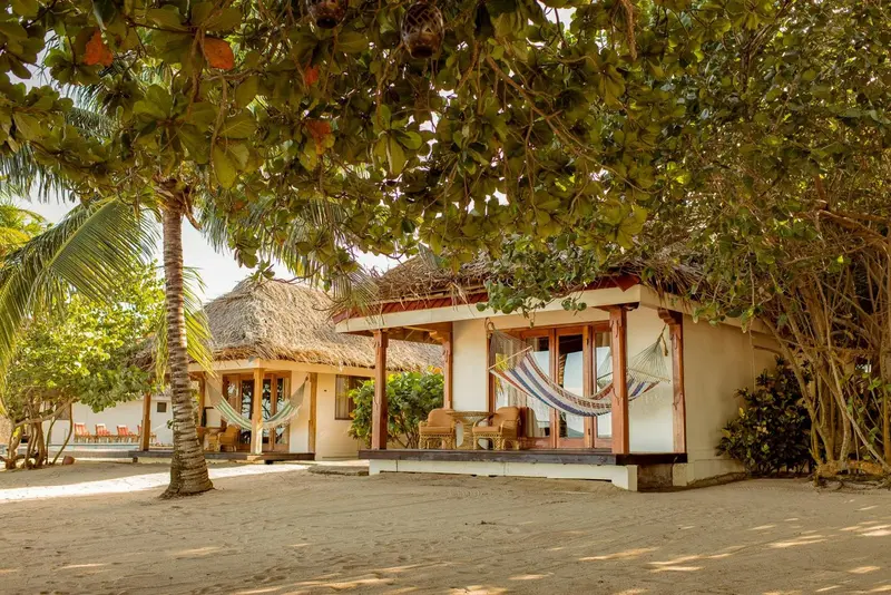 Des bungalows de plage ombragés par la végétation tropicale.