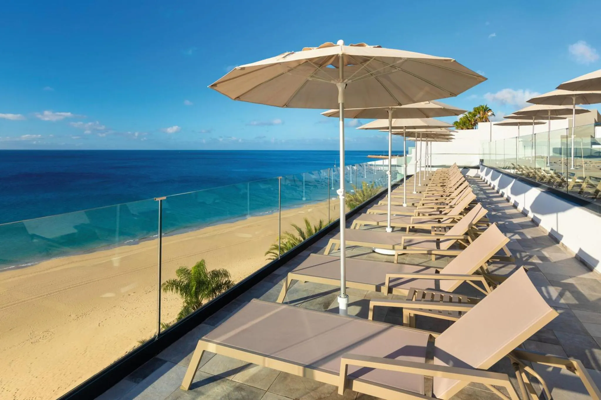 Transats alignés sur une terrasse ensoleillée avec vue sur la mer.
