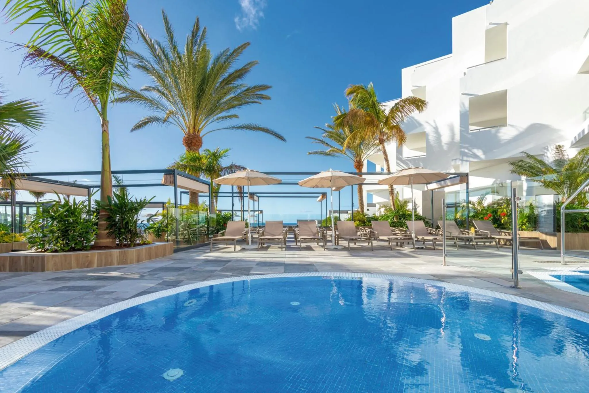 Terrasse avec transats et piscine ensoleillée.