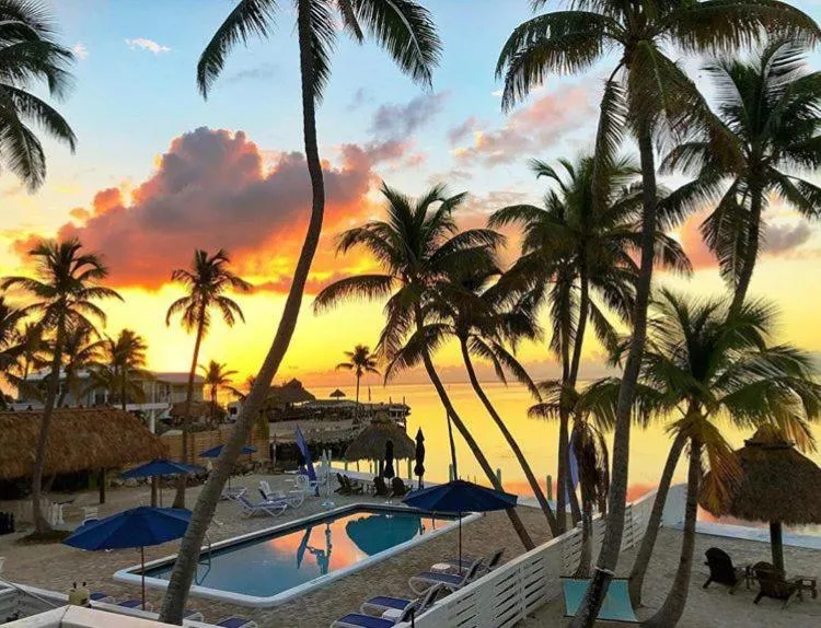 Coucher de soleil sur une plage bordée de palmiers et de chaises longues.