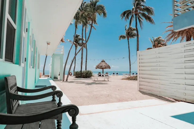 Vue sur une plage de sable fin avec des chaises longues et des palmiers.