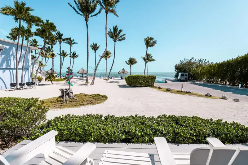 Vue sur une plage de sable blanc bordée de palmiers et de chaises longues.