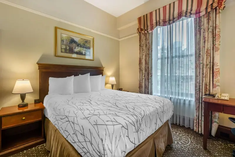 Une chambre lumineuse avec un grand lit recouvert d'une courtepointe à motifs.