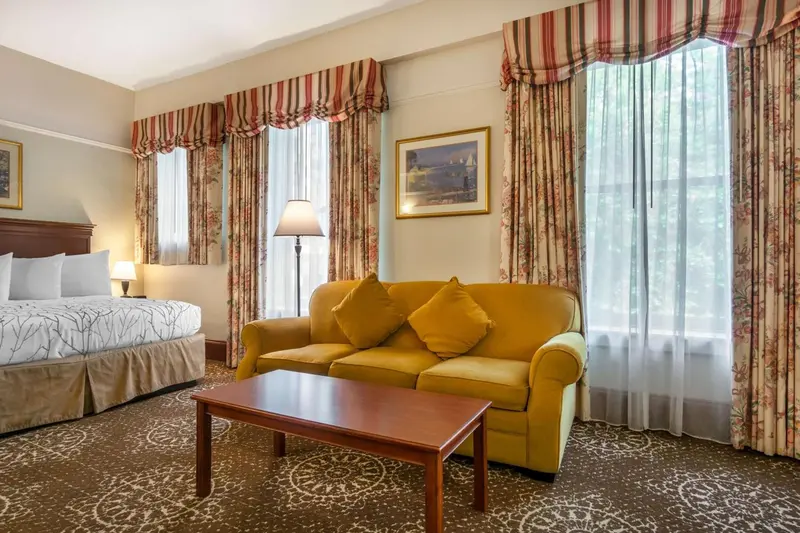 Une chambre lumineuse avec un canapé et un lit.