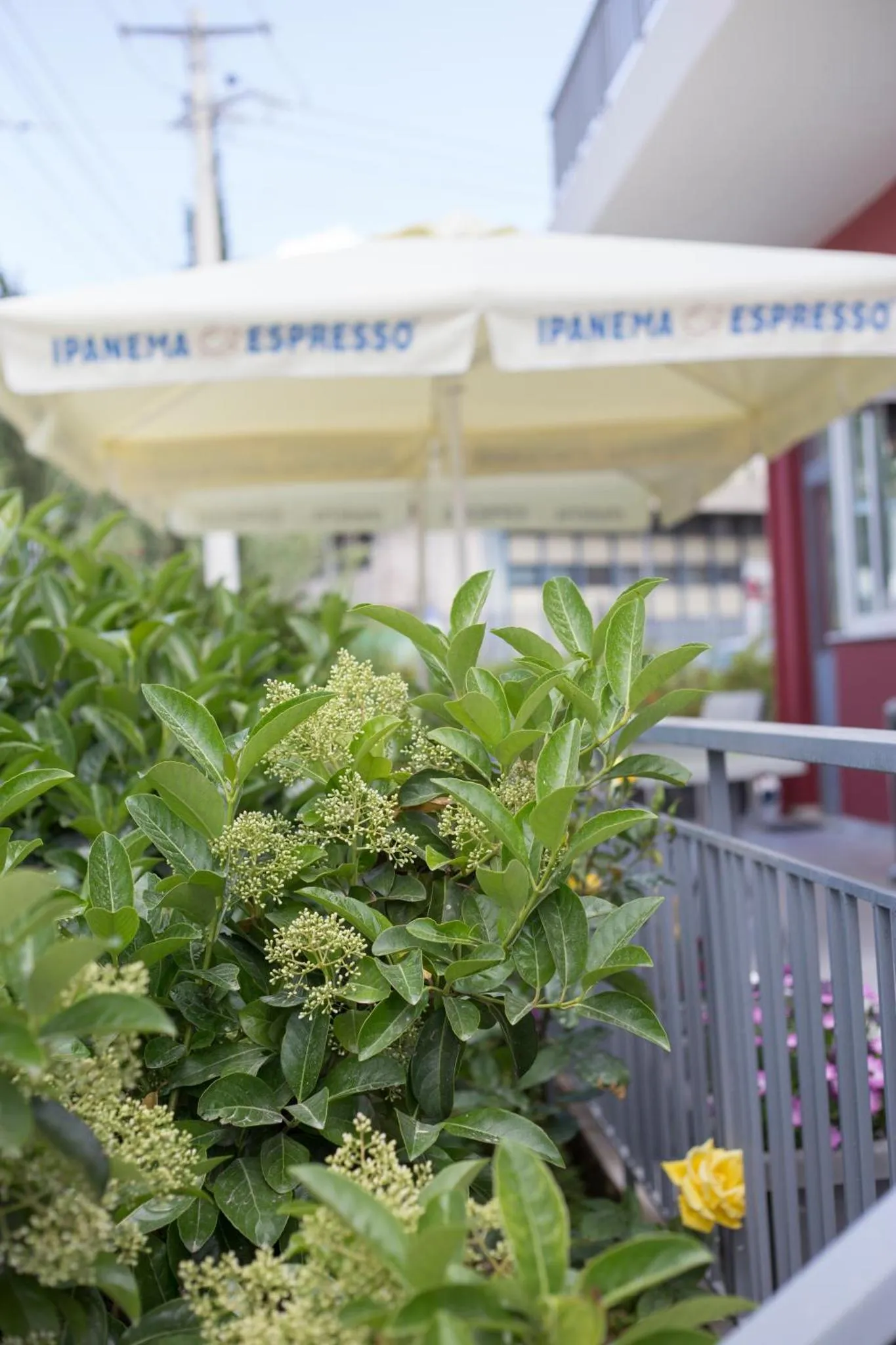 Terrasse ombragée avec végétation fleurie et auvents blancs.