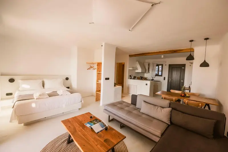 Espace de vie lumineux avec coin salon et cuisine ouverte.
