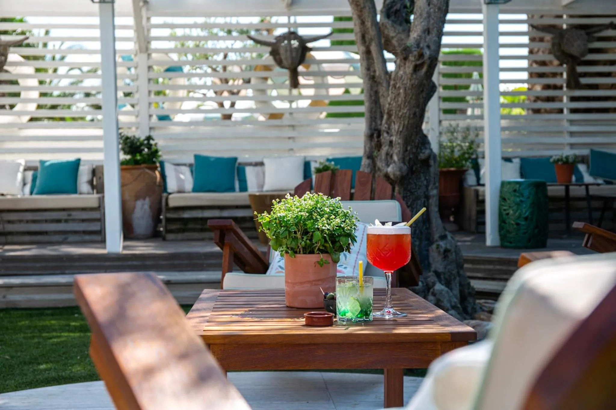 Une table en bois avec des boissons et une plante est mise en scène sur une terrasse ombragée.