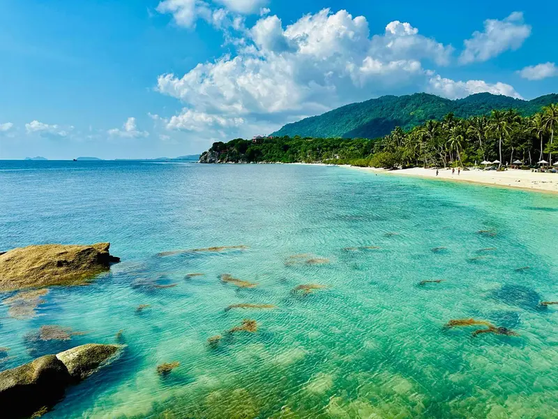 Une plage de sable blanc bordée d'une eau turquoise et de végétation luxuriante.