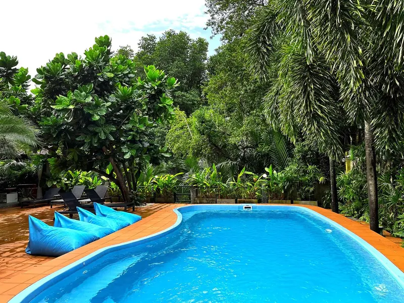 Une piscine rectangulaire bordée d'une terrasse ensoleillée, entourée d'une végétation luxuriante.