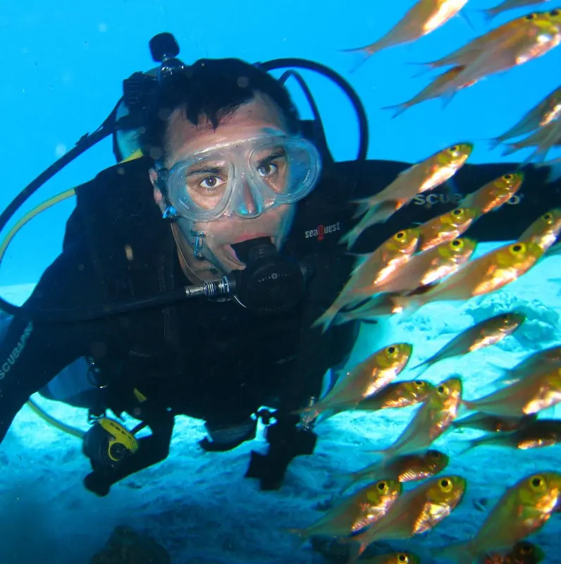 Un plongeur observe un banc de poissons dans les eaux bleues.