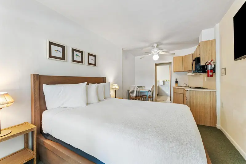 Une chambre lumineuse avec un grand lit et un coin cuisine.