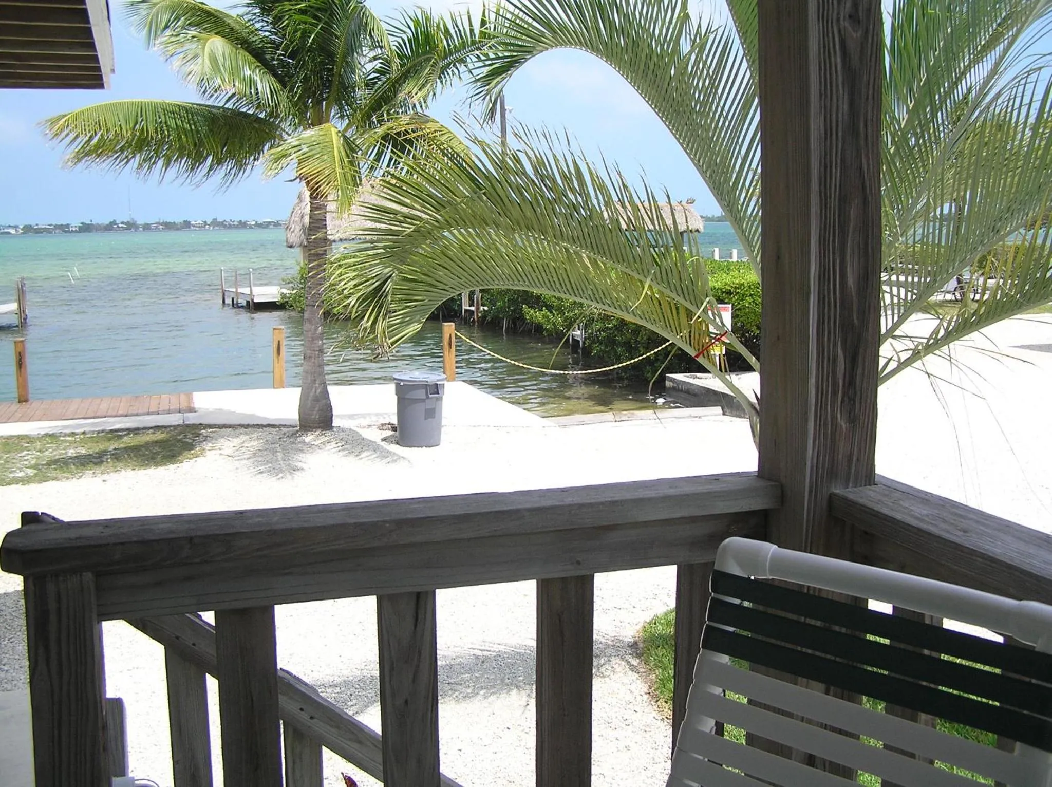 Vue sur la mer depuis une terrasse ombragée par des palmiers.