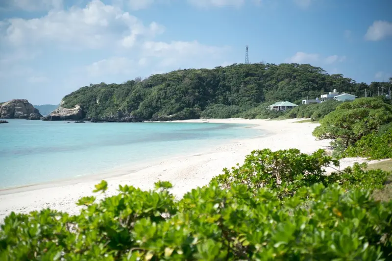 Une plage de sable blanc bordée d'une eau turquoise et d'une végétation luxuriante.