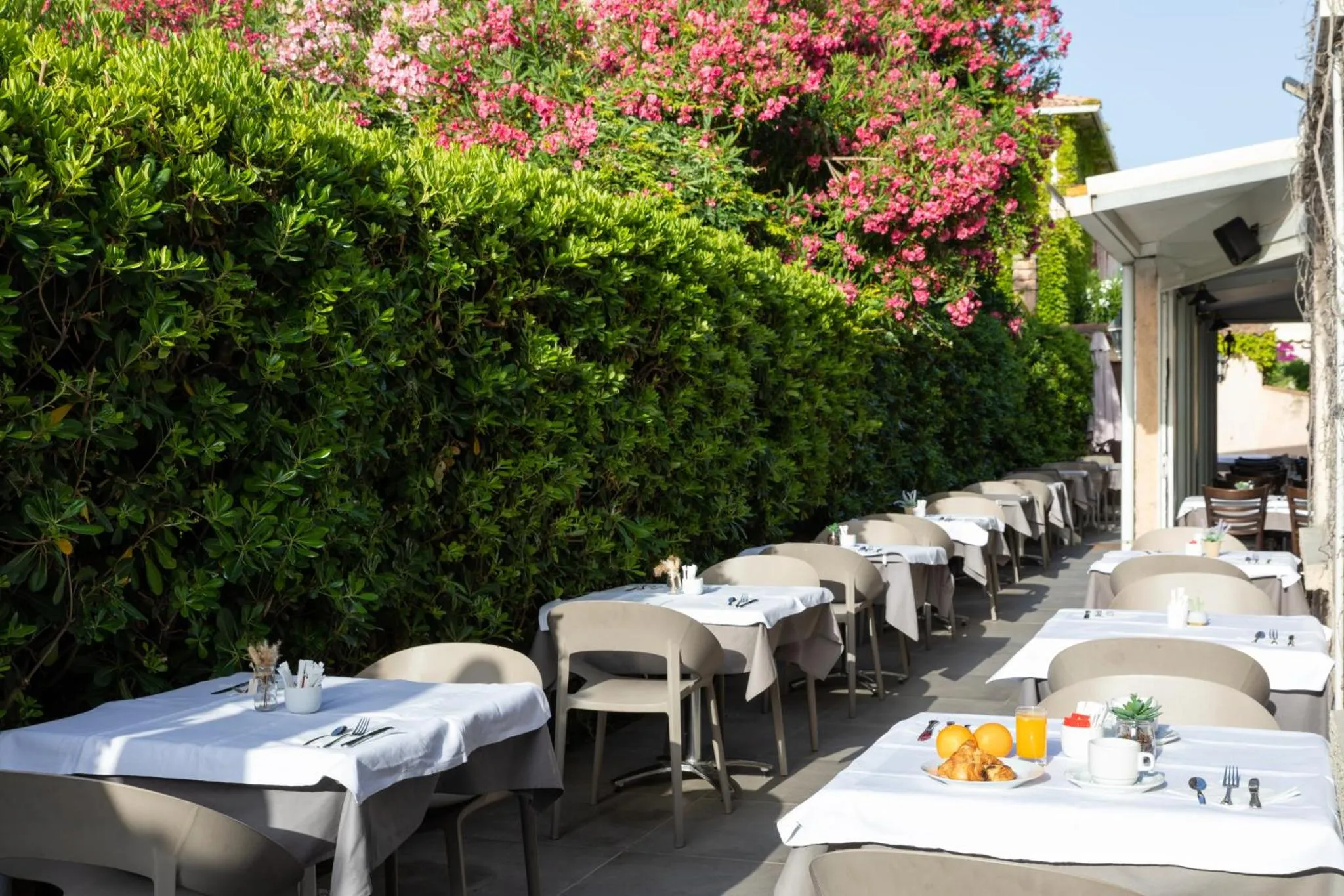 Tables dressées en terrasse avec une végétation luxuriante en arrière-plan.