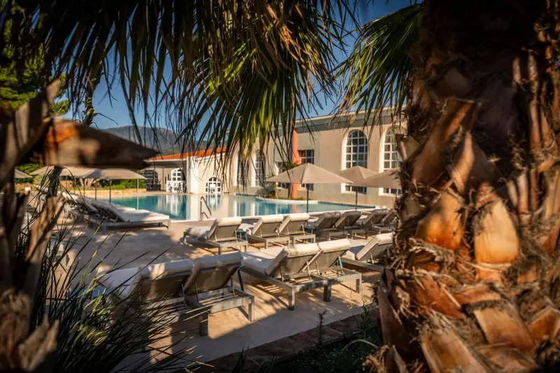 Transats alignés au bord d'une piscine ensoleillée, avec des palmiers en premier plan.