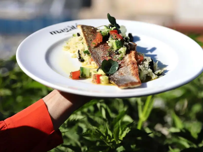 Assiette de poisson frais décorée de légumes et d'herbes aromatiques.