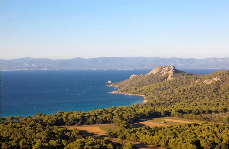 Vue aérienne d'une côte rocheuse et verdoyante bordée d'une mer bleue.
