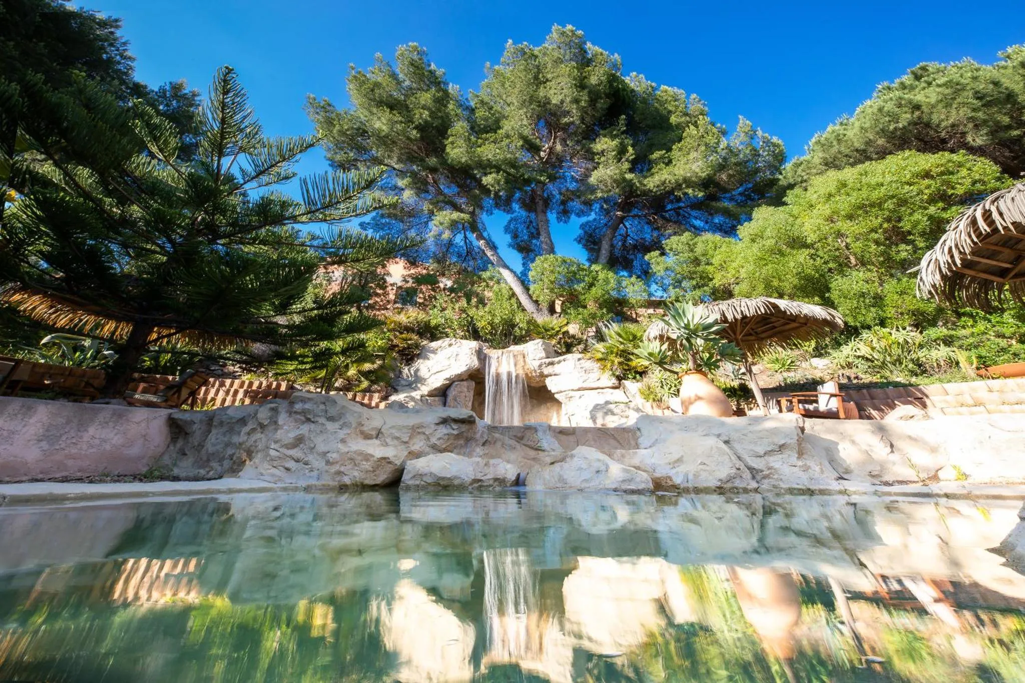 Une piscine naturelle avec une cascade artificielle et une végétation luxuriante.