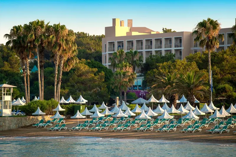 Transats et parasols alignés sur une plage de sable fin devant un bâtiment blanc et des palmiers.